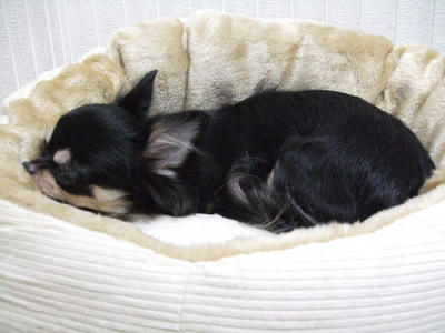 2008_11040010.JPG