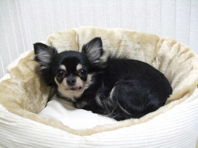 2008_11040018.JPG