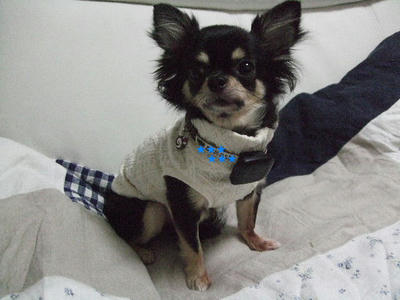 2008_11080008.JPG