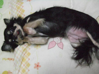 2008_11090004.JPG