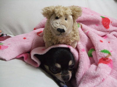 2008_11240035.JPG