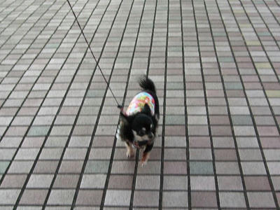 2008_11300024.JPG