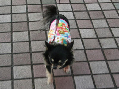 2008_11300026.JPG