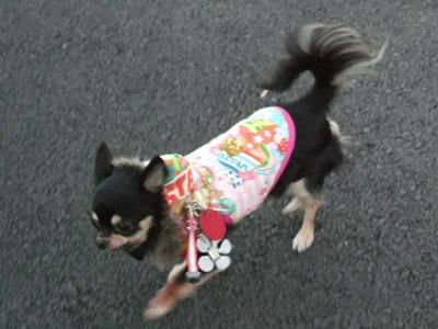 2008_12070007.JPG