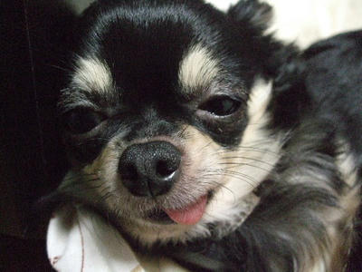 2008_12070030.JPG