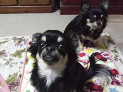 2008_12270047.JPG