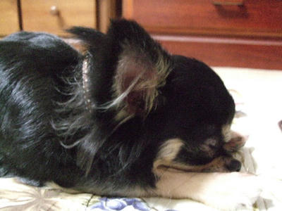 2008_12300006.JPG