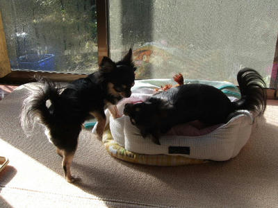 2009_01030002.JPG