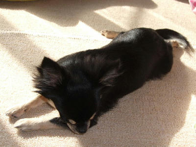 2009_01030022.JPG