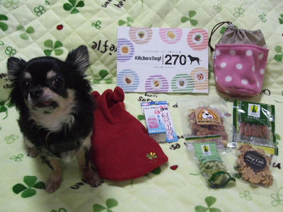 2009_01110007.JPG