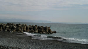 20090228140354.jpg