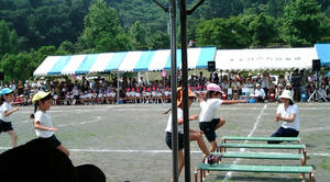 20090627100636.jpg
