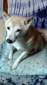 20091025214953.jpg