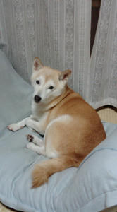 20091025215149.jpg