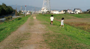 20091031151720.jpg