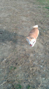 20091030151256.jpg
