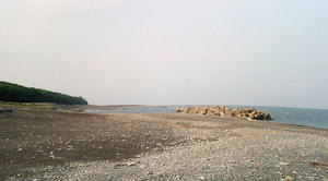 20100822165012.jpg