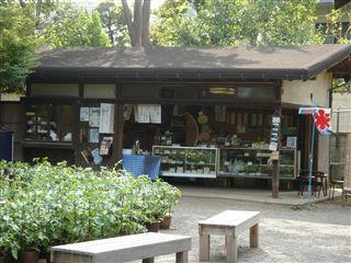 向島百花園