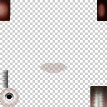 1135676e.jpg