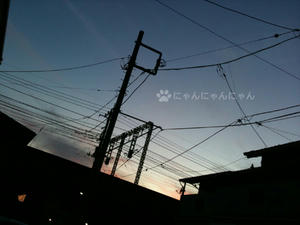 夕暮れ