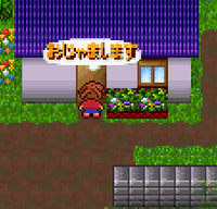 ロストシープ