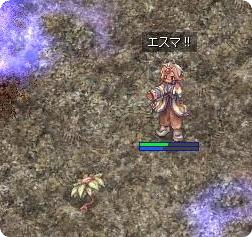 7d67901e.png