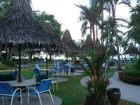 c95d3978.JPG