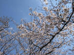 803c2f89.jpg