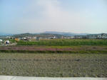 2009年イチゴ採り 畑
