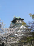 2010年_桜_大阪