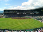 2010年8月8日阪神甲子園球場