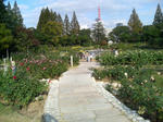靱公園