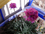 RIMG0183.JPG