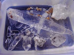 RIMG0210.JPG