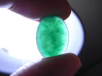 RIMG0223.JPG