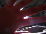 RIMG0261.JPG