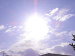 RIMG0330.JPG
