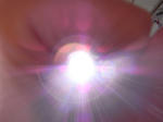 RIMG0262.JPG