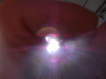 RIMG0263.JPG