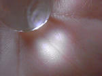RIMG0600.JPG