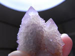 RIMG0654.JPG