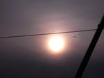 RIMG0672.JPG