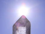 RIMG0697.JPG