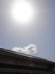 RIMG0844.JPG