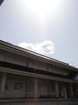 RIMG0845.JPG