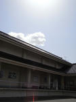 RIMG0846.JPG