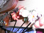 RIMG0863.JPG