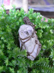 RIMG1184.JPG