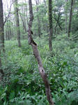 RIMG1240.JPG