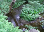 RIMG1245.JPG